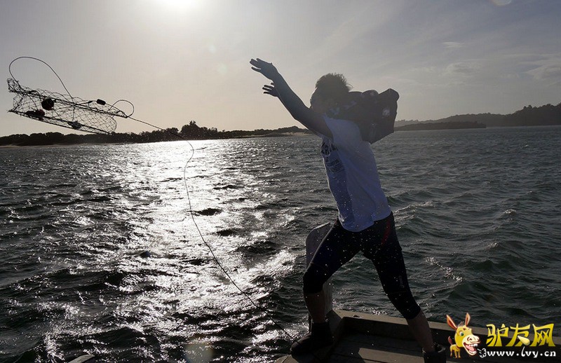 ���ӵ���Ӫ�ؿ�ʼ�齨����