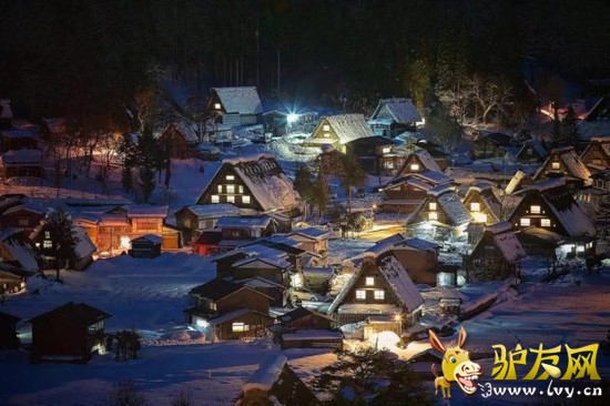 �¹� ������