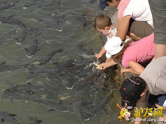 ���ٽ��ˣ��Ĵ�����8����Ѽ�ͥ���ε�