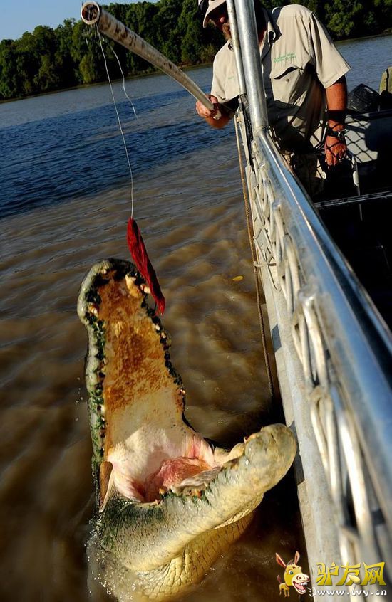 ���ٽ��ˣ��Ĵ�����8����Ѽ�ͥ���ε�