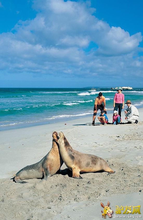 ���ٽ��ˣ��Ĵ�����8����Ѽ�ͥ���ε�