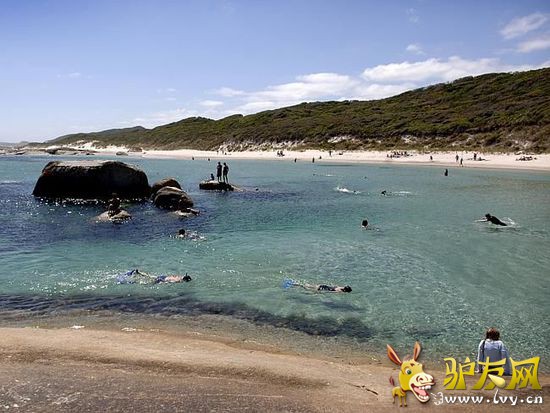 ���ٽ��ˣ��Ĵ�����8����Ѽ�ͥ���ε�