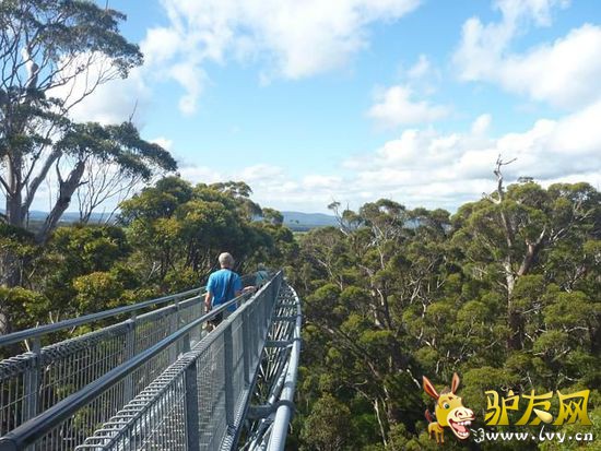 ���ٽ��ˣ��Ĵ�����8����Ѽ�ͥ���ε�