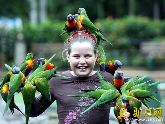 ���ٽ��ˣ��Ĵ�����8����Ѽ�ͥ���ε�