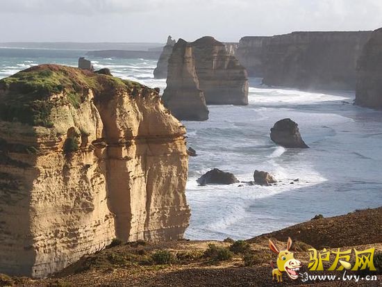 ���ٽ��ˣ��Ĵ�����8����Ѽ�ͥ���ε�