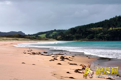 ӡ�ȹ�����ţ֮��̲