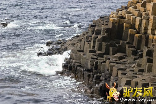 ӡ�ȹ�����ţ֮��̲