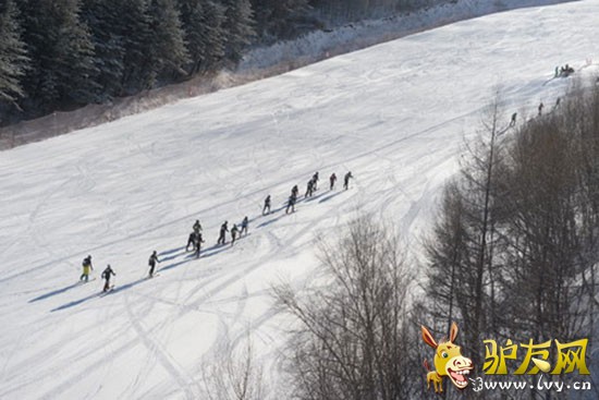 ����ͼ��2014�껬ѩ��ɽ���