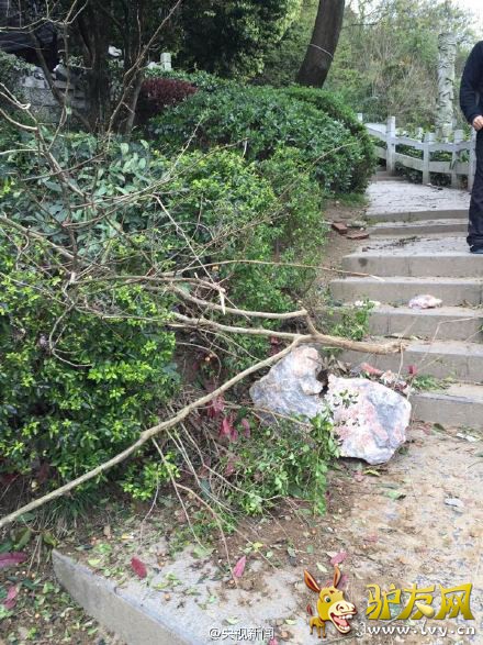 �������ֵ���ɽ����8�οͱ���ʯ���� 7������