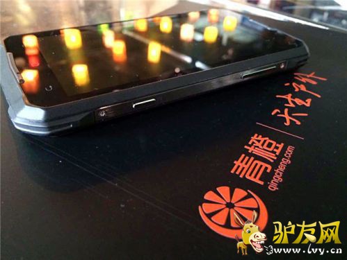 IMG_2383_����