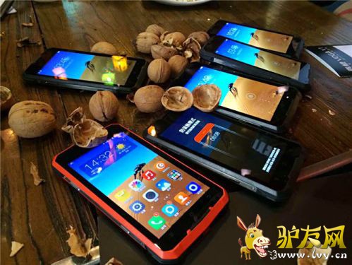 IMG_2384_����