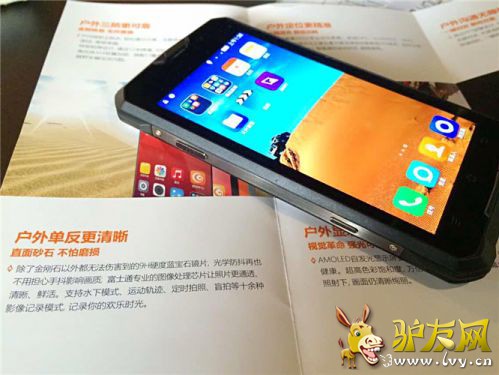 IMG_2389_����