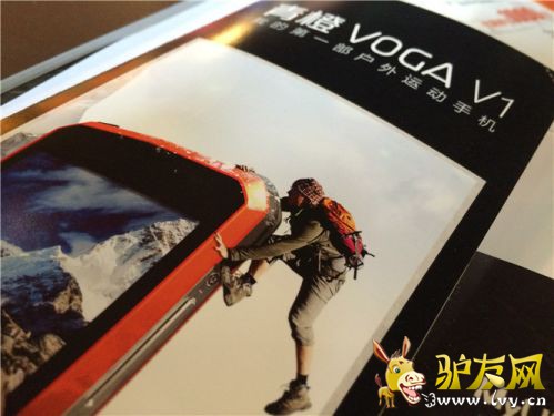 IMG_2391_����