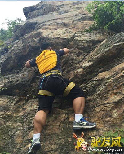 ���ջ�����ֲ�����ڽ���������ϰ