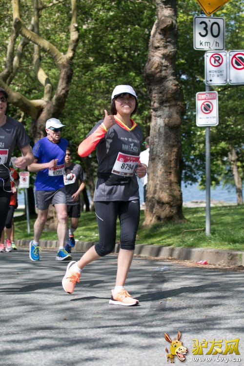 2015�¸绪������ �й����� (2)