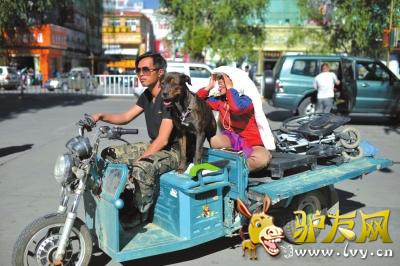 ��ʱ���꣬��һ�ۺ����������������������Ƕ���һֻ�а����Ĺ�������װ�����Ƚ����˺ܶࡣ