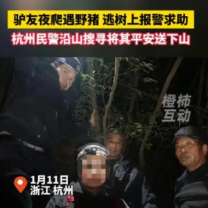 “我在山里遇到野猪了，现在在树上，野猪在下面……”一驴友深夜躲在树上报警求助